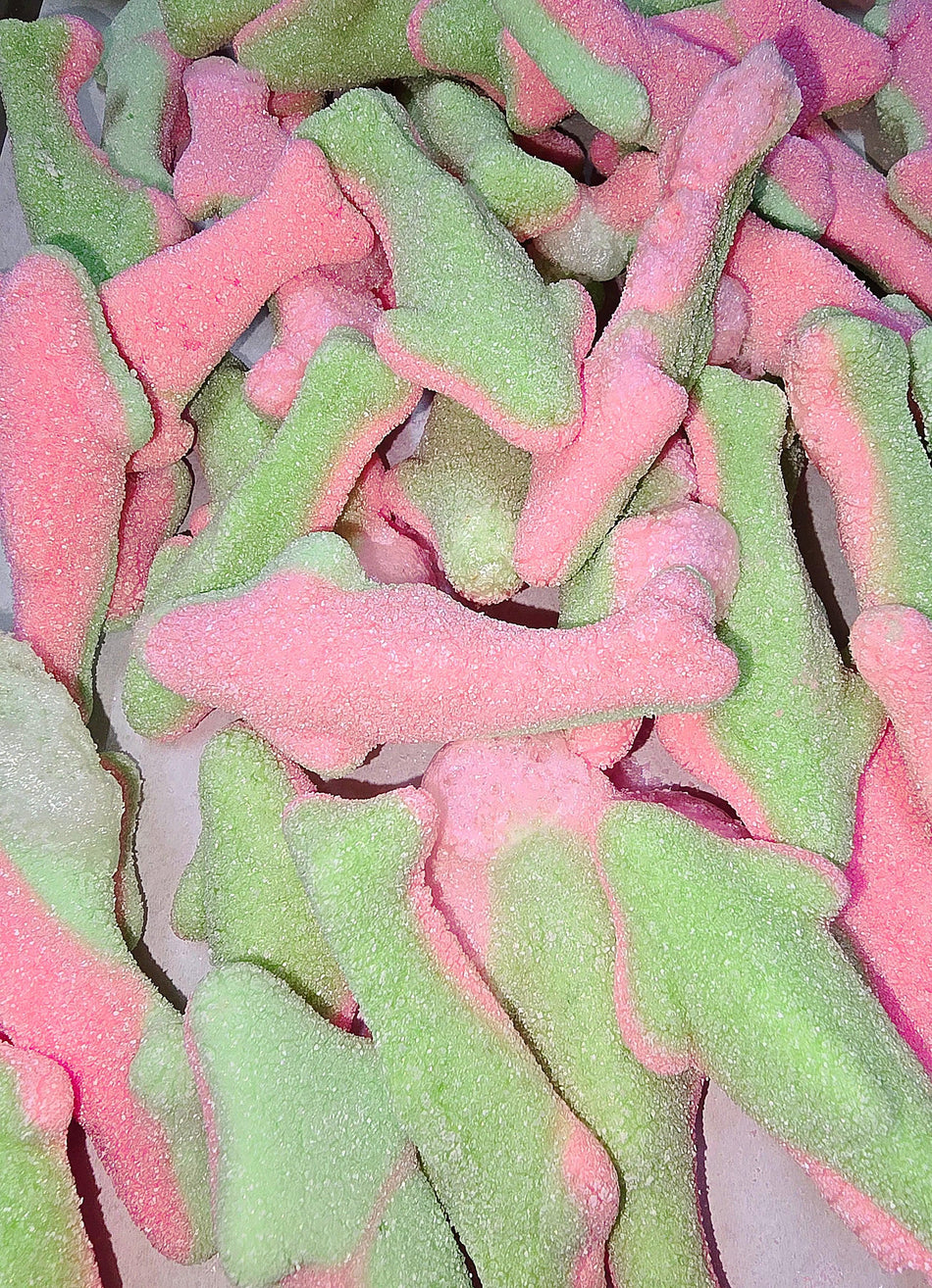 FREEZE DRIED Watermelon Sharks