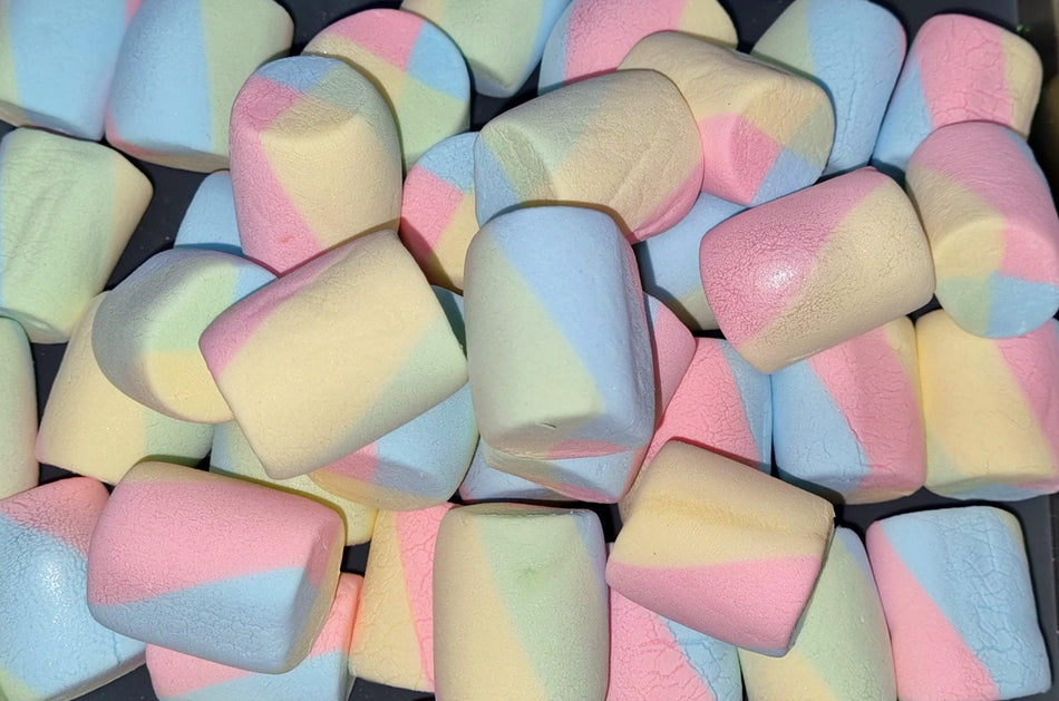 FREEZE DRIED Rainbow Marshmallows